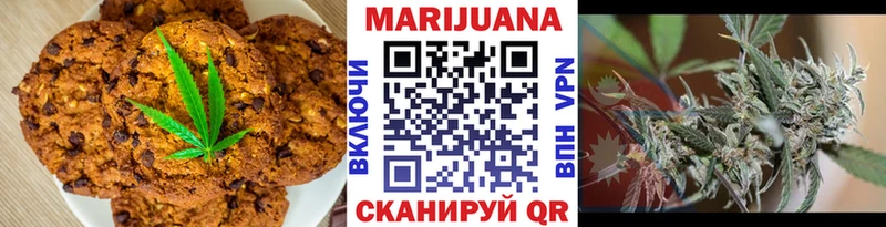 Купить где Чернушка Cannafood конопля