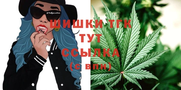 спиды Зеленокумск
