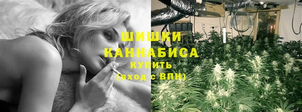 mdpv Инта