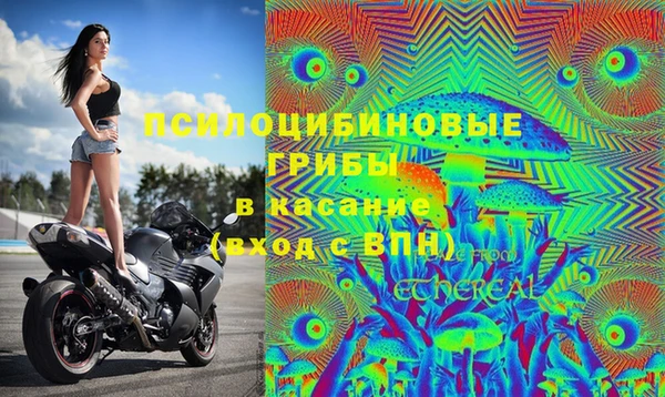 меф Инсар
